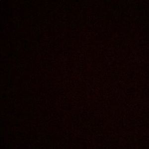 Meet your Posher, Sylvia